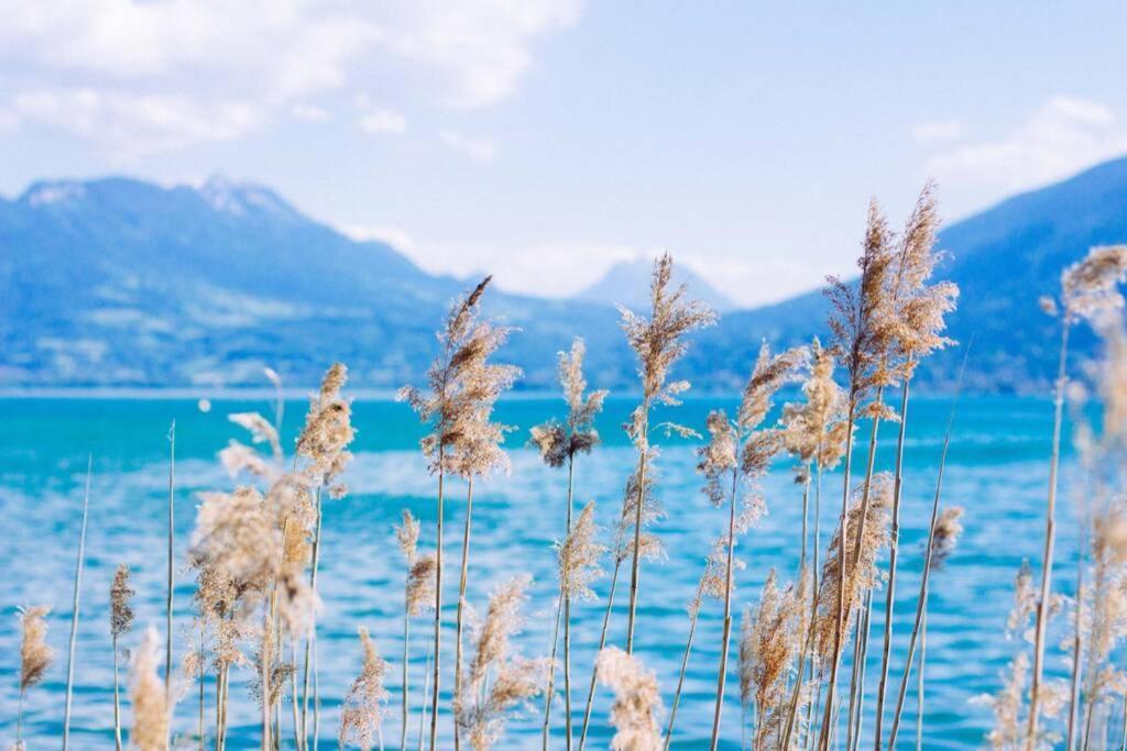 Le Boheme Beau T2 Vue Lac & Montagnes + Garage Annecy Exterior foto